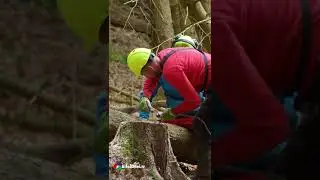 #EifeldreiTV #Aktuell Eine #Seilbahn für die #Fichten