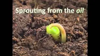 Houston Transformation Conference – Setting the Stage: Charles A. Birnbaum