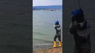 Sensasi narik ikan predator !! #mancing #fishing