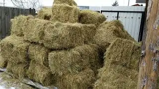 Привезли сено.