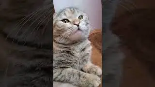 Секреты красоты