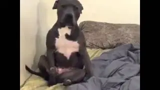 When it's been a seriously long day ...