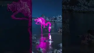 El VERDADERO ARTE de la FOTOGRAFÍA #shorts #fotografia
