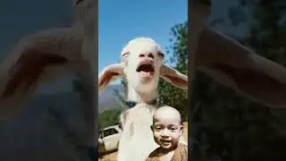 Adik ketawa