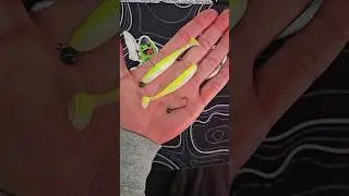 Keitech Easy Shiner 3 Inch Rigged for Finesse Fishing 