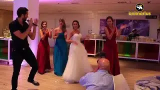 La MEJOR Animación para 🤍BODA🤍