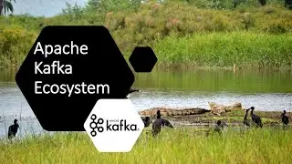 Which Kafka Ecosystem Components Do I Need?
