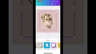How To Create Stickers With Canva 