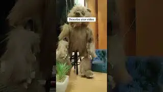 bear and base