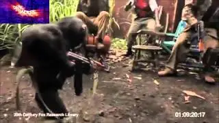 Chimp With AK-47 Shoots at Soldiers