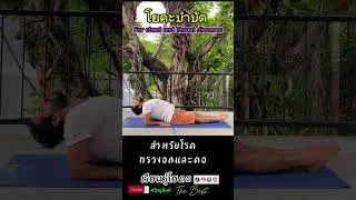 Chest and Throat diseases สำหรับโรคทรวงอกและคอ #โยคะ #yoga #yogateachertrainingcourse #yogatherapy