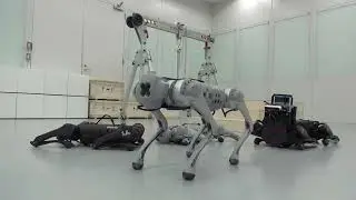Robot dog