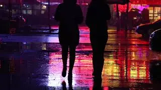 Relaxing Rain Sounds For Sleeping, Relax, Study, Insomnia, Reduce Stress - Rainforest Rain Sounds