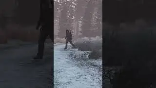 Dogs are DayZ Survivors Best Friend