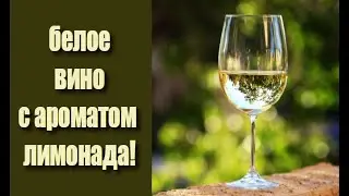 Белое вино из винограда СЛАВА с ароматом лимонада! Сухое белое вино - обзор.