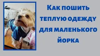 Как пошить теплую одежду для маленького Йорка. Выкройка, пошив.