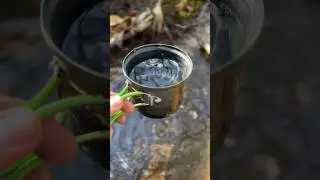 Looks So Pure…Probably Don’t Need Sawyer Squeeze #survivaltips