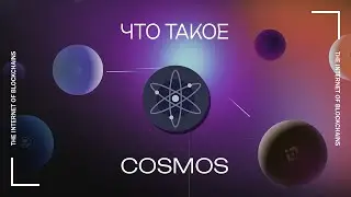 Что представляет собой 