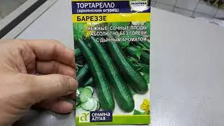 Бареззе -  огурец армянский., лиана.