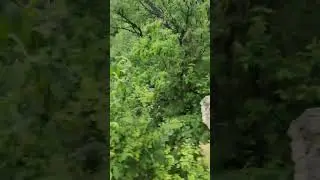 красота 🤩