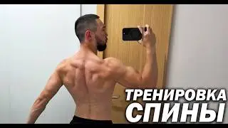 Тренировка Спины и Бицепса в Тренажерном Зале