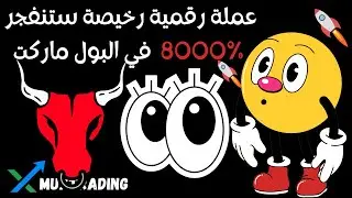 أفضل عملة رخيصة للتخزين مشروعها قوى و أهداف الصعود الكبير %8000 في البول ماركت