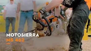 Motosierra MS 462 | STIHL