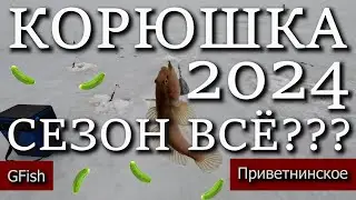 ВЫЕЗД ЗА КОРЮШКОЙ НА ЗАЛИВ | ПОЙМАЛ ЗМЕЮ