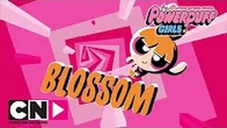 As Powerpuff Girls | Blossom | Portugal