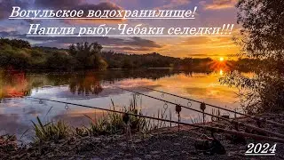 Нашли рыбу-Чебаки селедки!Вогульское водохранилище!2024