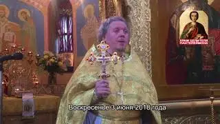 Воскресная проповедь протоиерея Вадима Гурина_03 июня 2018