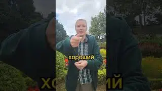 Чистка от бабушкиных установок 