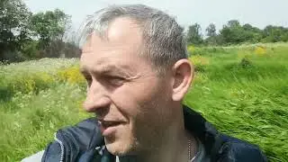 12 июня 2023 г.