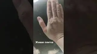 российское производство живой плитки