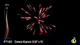 Р7160 Сивка бурка