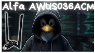 Alfa [AWUS036ACM] USB WiFi Adapter (Linux) With MediaTek Chipset