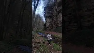 Famous hikes of Netherlands #shorts #mullerthal
