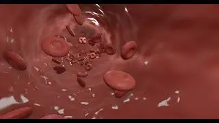 Blood flow in 3D animation #shorts