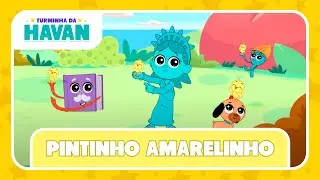PINTINHO AMARELINHO | TURMINHA DA HAVAN | LETRA E MÚSICA 🎶