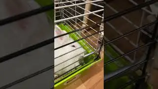 Пятница