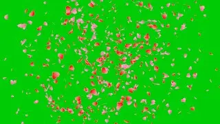 Animated little hearts sprinkle rain in green screen background