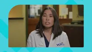 What is Degenerative Joint Disease?