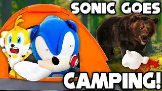 Sonic Goes Camping! - Sonic and Friends