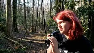 Greenbrier (short film)