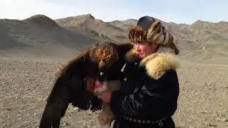 Golden Eagle trainer