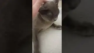 Ты ожидал в этом видео не то что ожидал