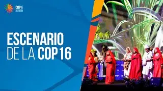 COP16: Así es el escenario de la cumbre mundial de biodiversidad hecha en Cali