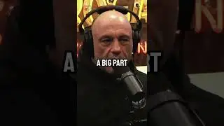 Why Boxers Can't Fight MMA