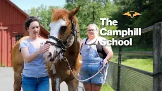 TCS Online Week 009 - Horse Care with Shirley