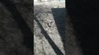 Хорошо на свежем воздухе.